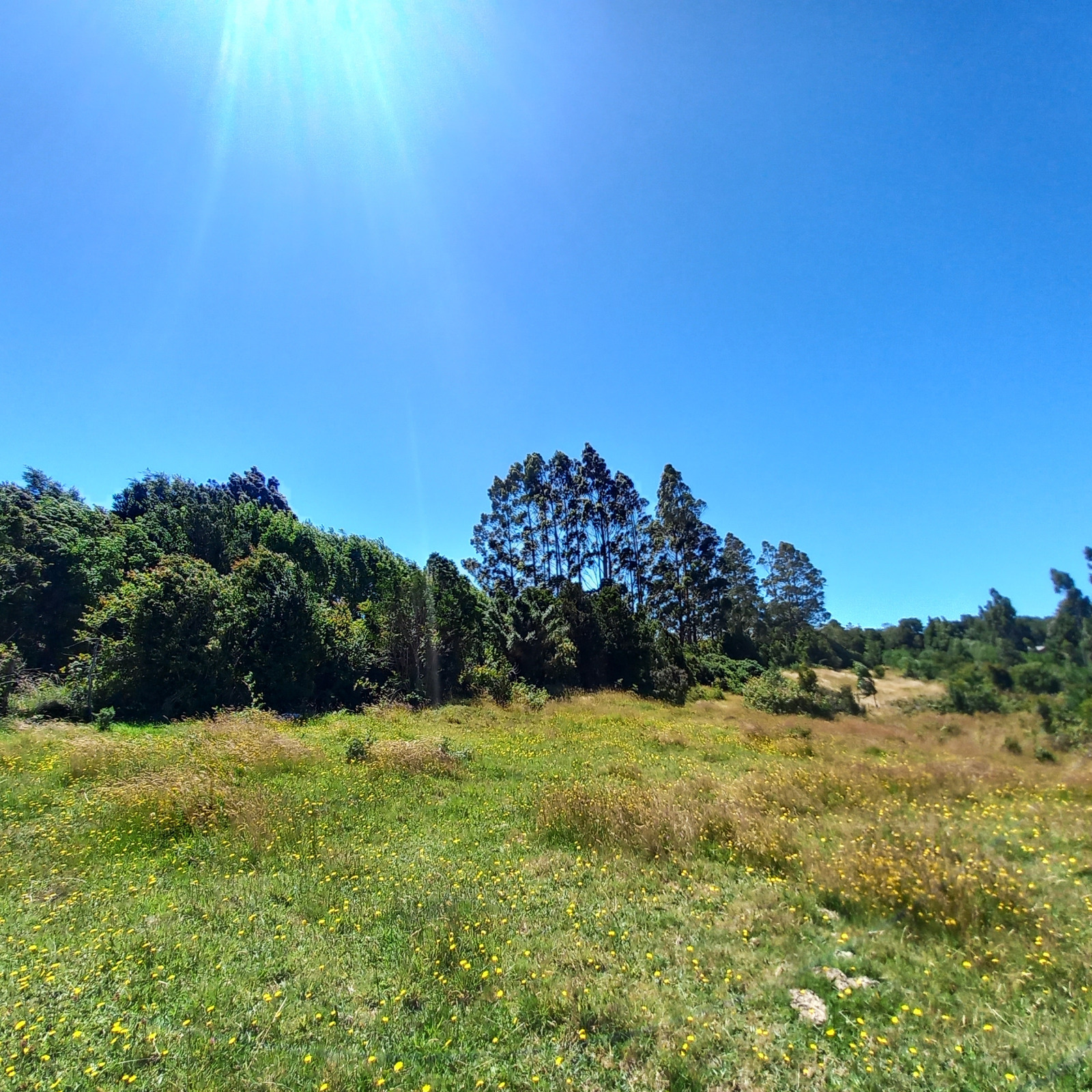 VENDO - Terreno de 2.35 Ha en ILQUE