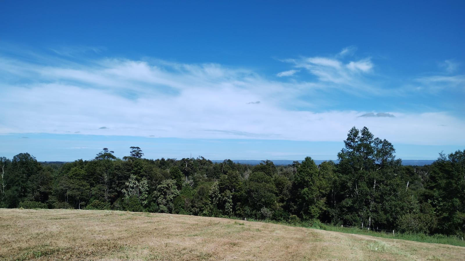 VENDO - Campo de 33 Há en Rio Frio, Los Muermos