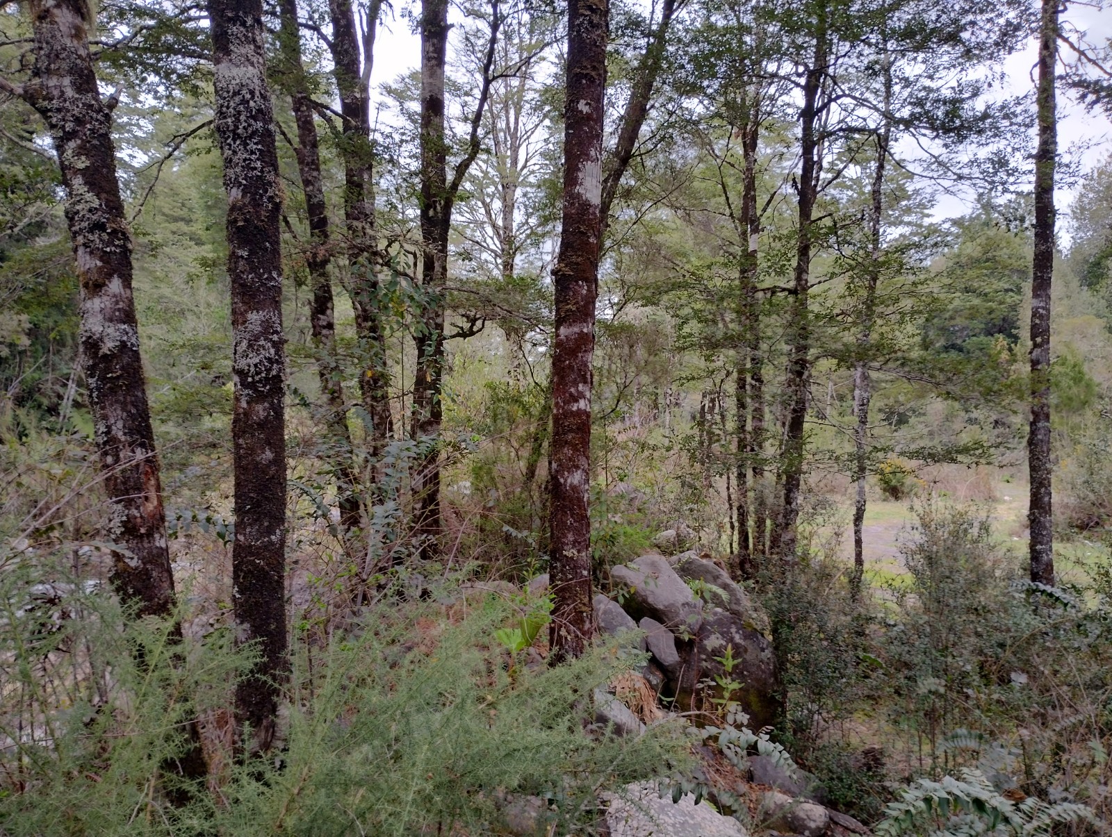 VENDO - Parcela de 4.252 m2 en Sector Cumbre Rio Pescado, Pto. Varas