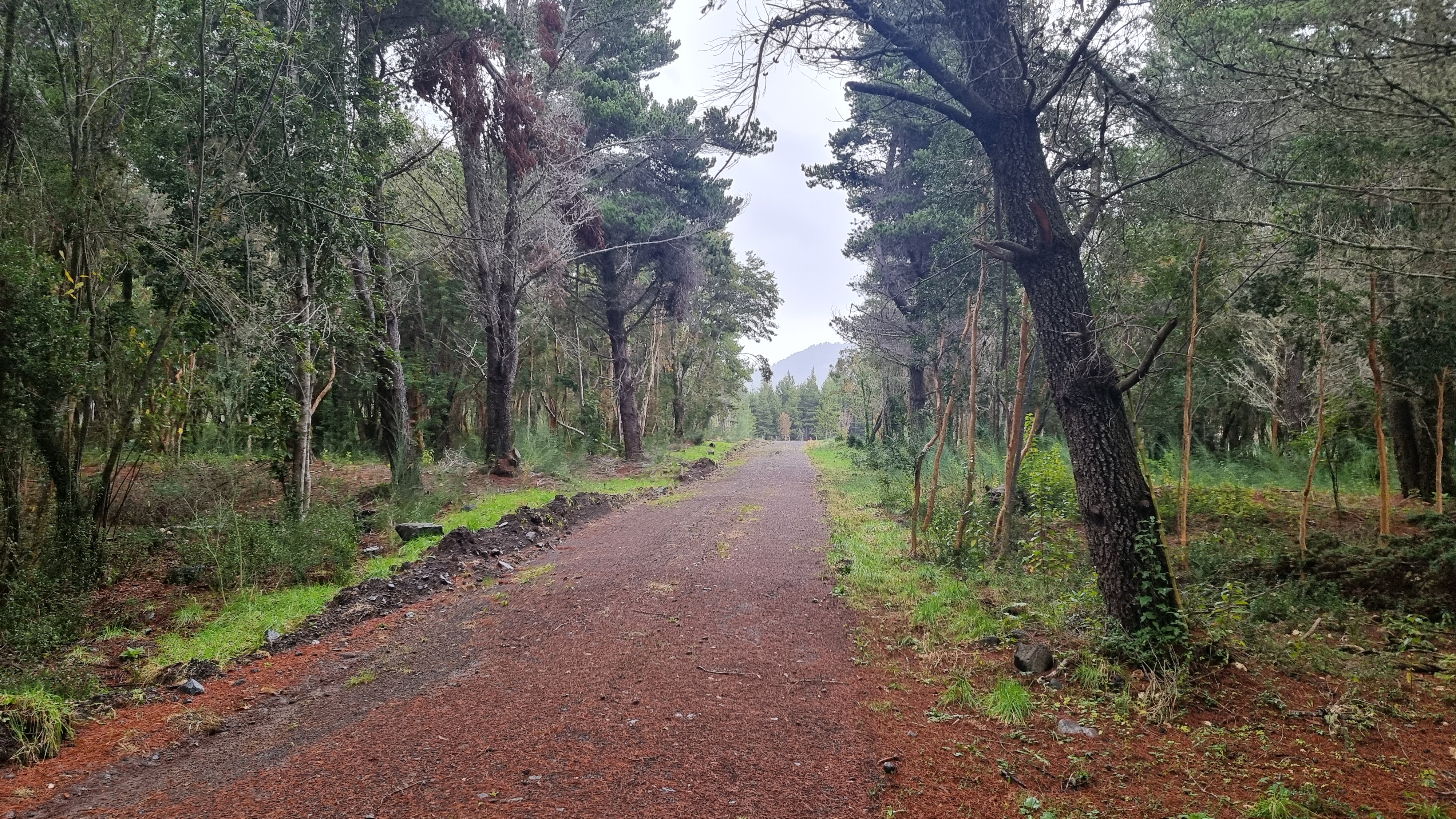 PARCELACIÓN EN RÍO TEPÚ, PARCELAS DESDE 2.500 UF
