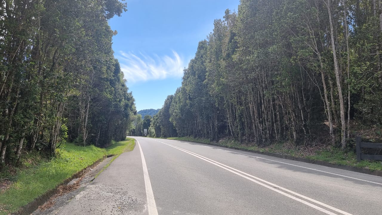VENDO – Parcela 5000m2 en Ralún