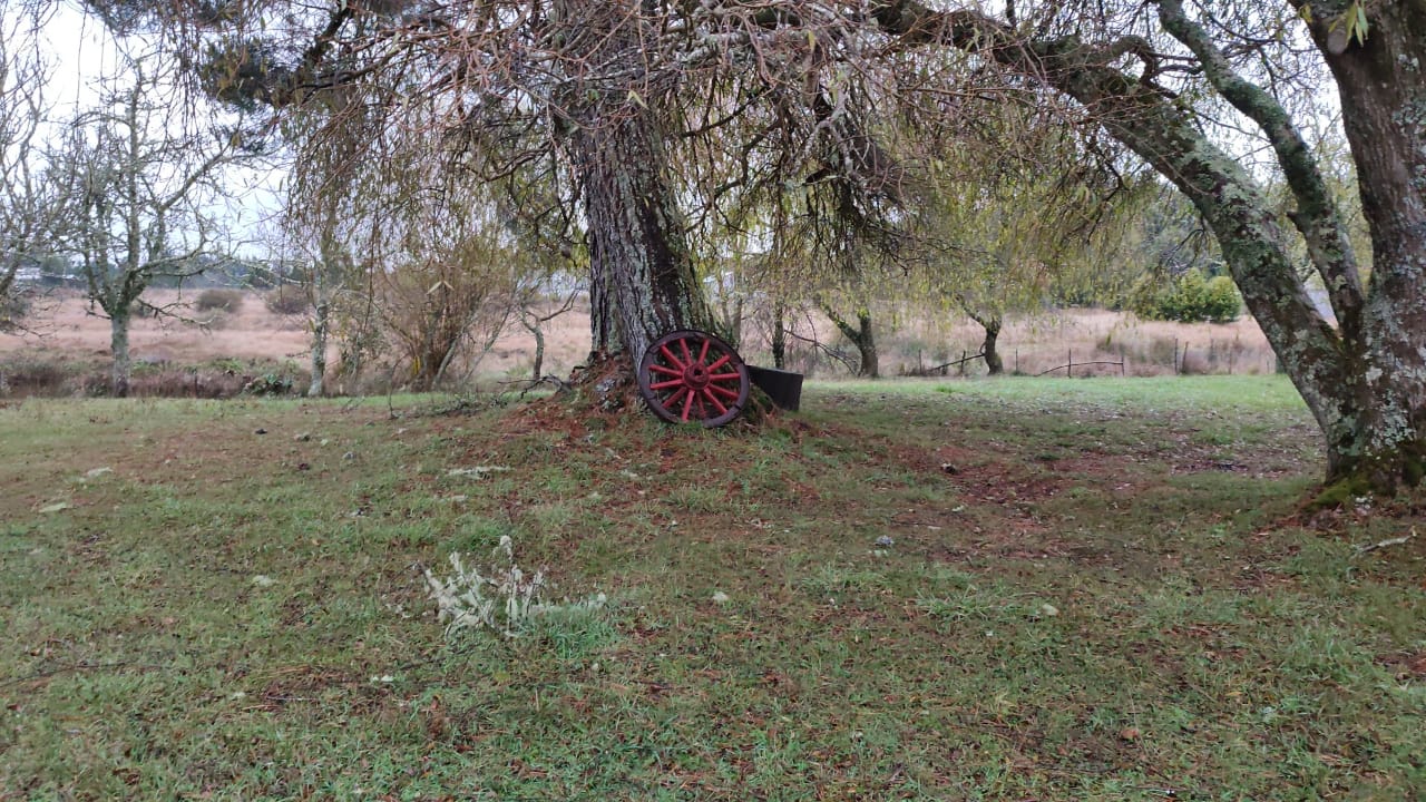 VENDO - Campo de 67 Há Sector Cadiquen, Maullín