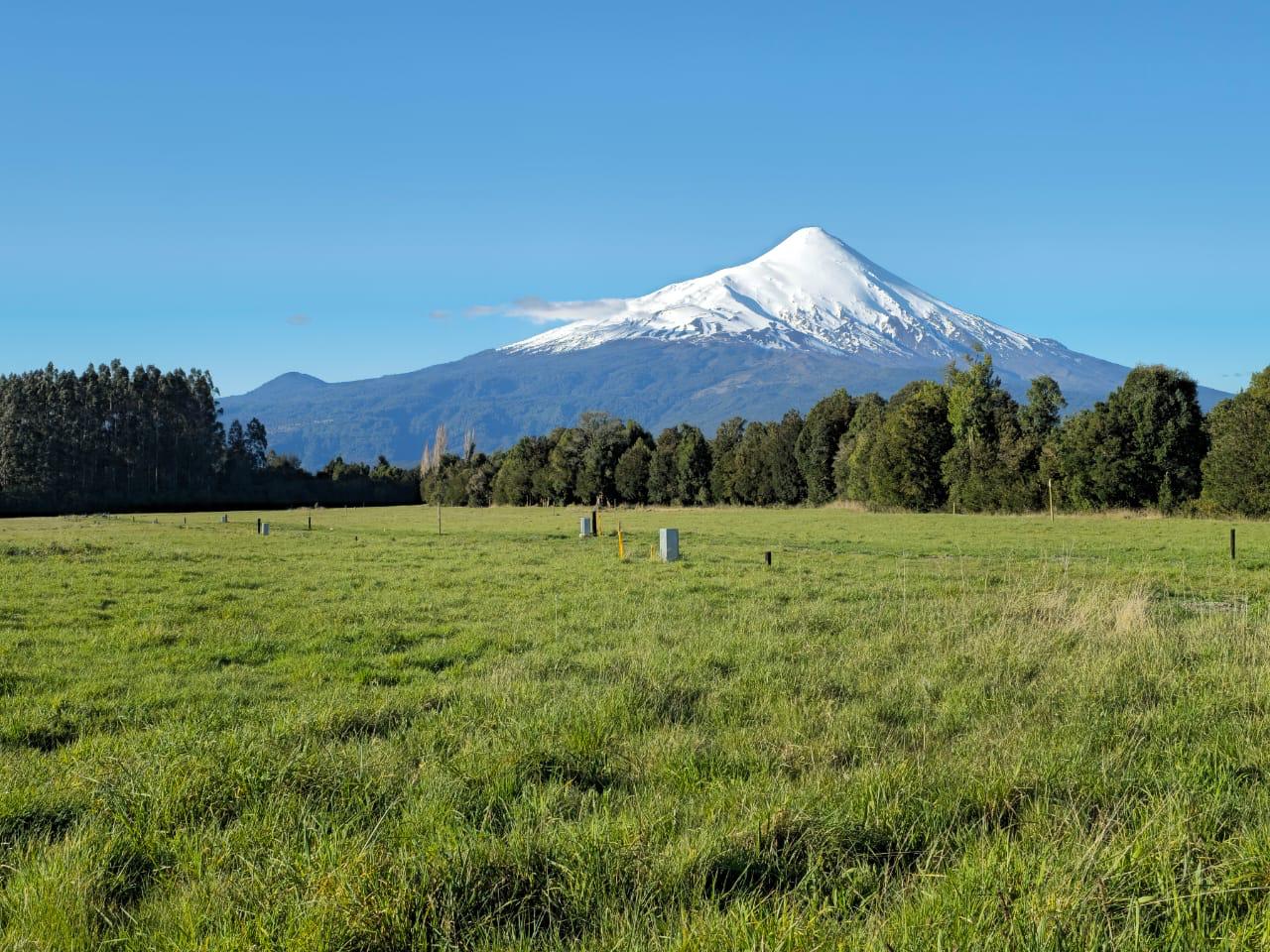 PARCELACIÓN EN ENSENADA, PUERTO VARAS