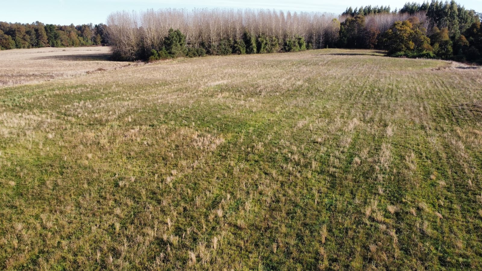 VENDO - CAMPO AGRICOLA 501 HA EN PUERTO MONTT