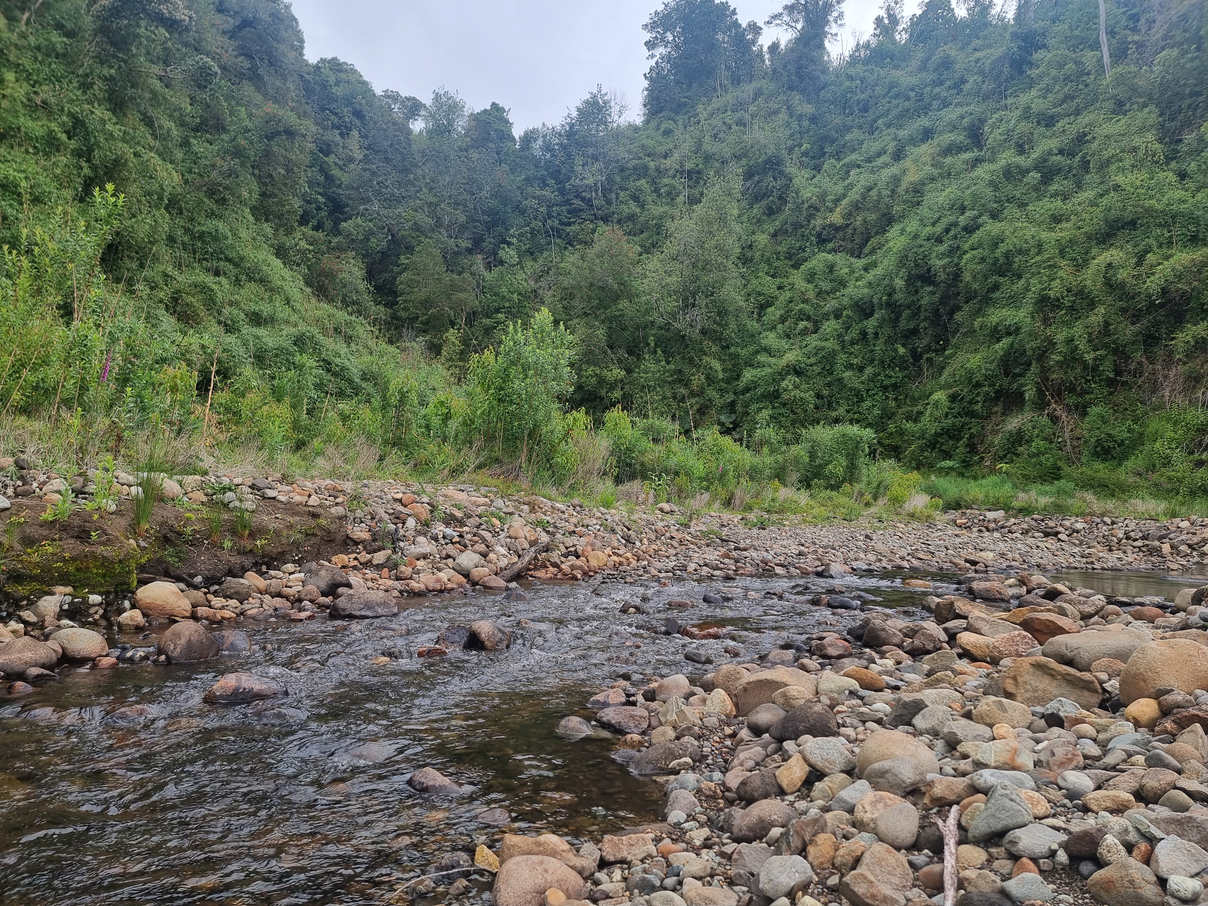 VENDO - PARCELA ORILLA DE RUTA CAMINO A ENSENADA 