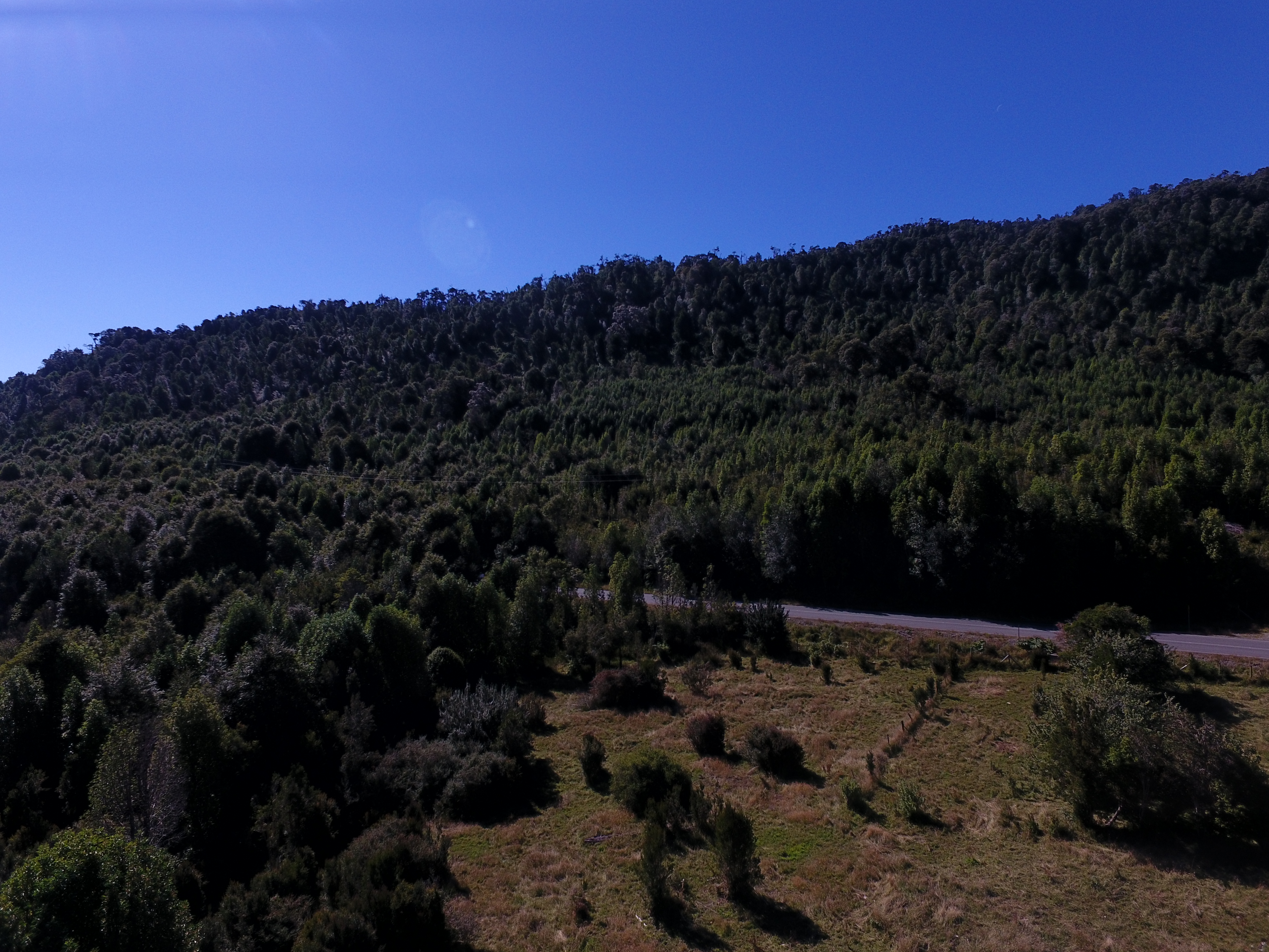 CAMPO 99 HA EN QUILDACO ALTO, HUALAIHUE