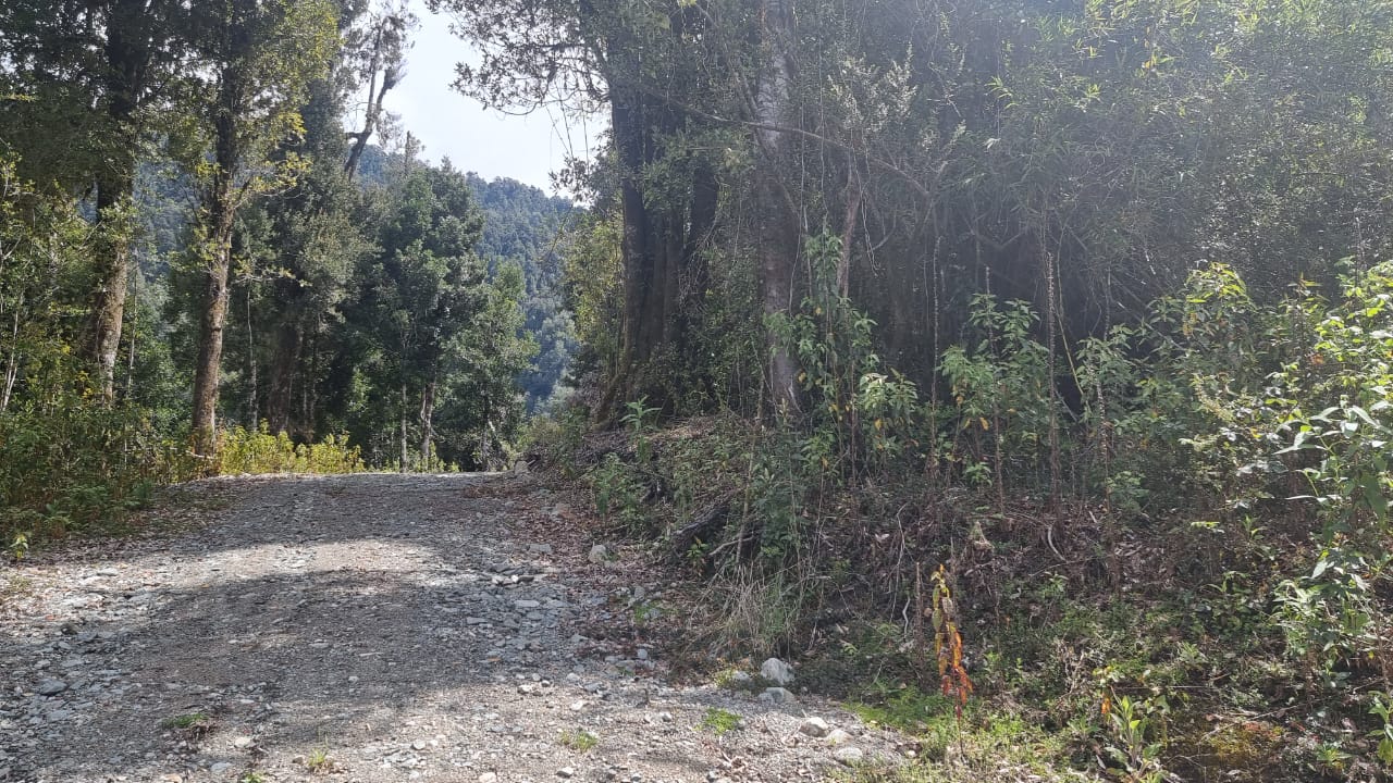 VENDO – Parcela 5000m2 en Ralún