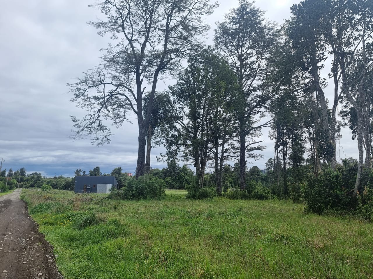 PARCELACIÓN FUNDO ARTHUR, PUERTO VARAS 