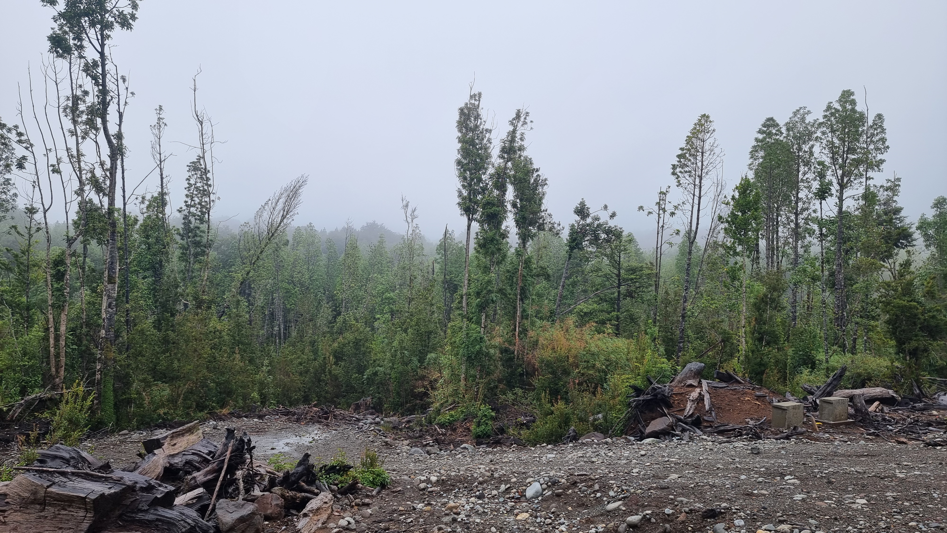 VENDO – Parcela 5000m2 en Colonia Rio Sur Pto. Varas