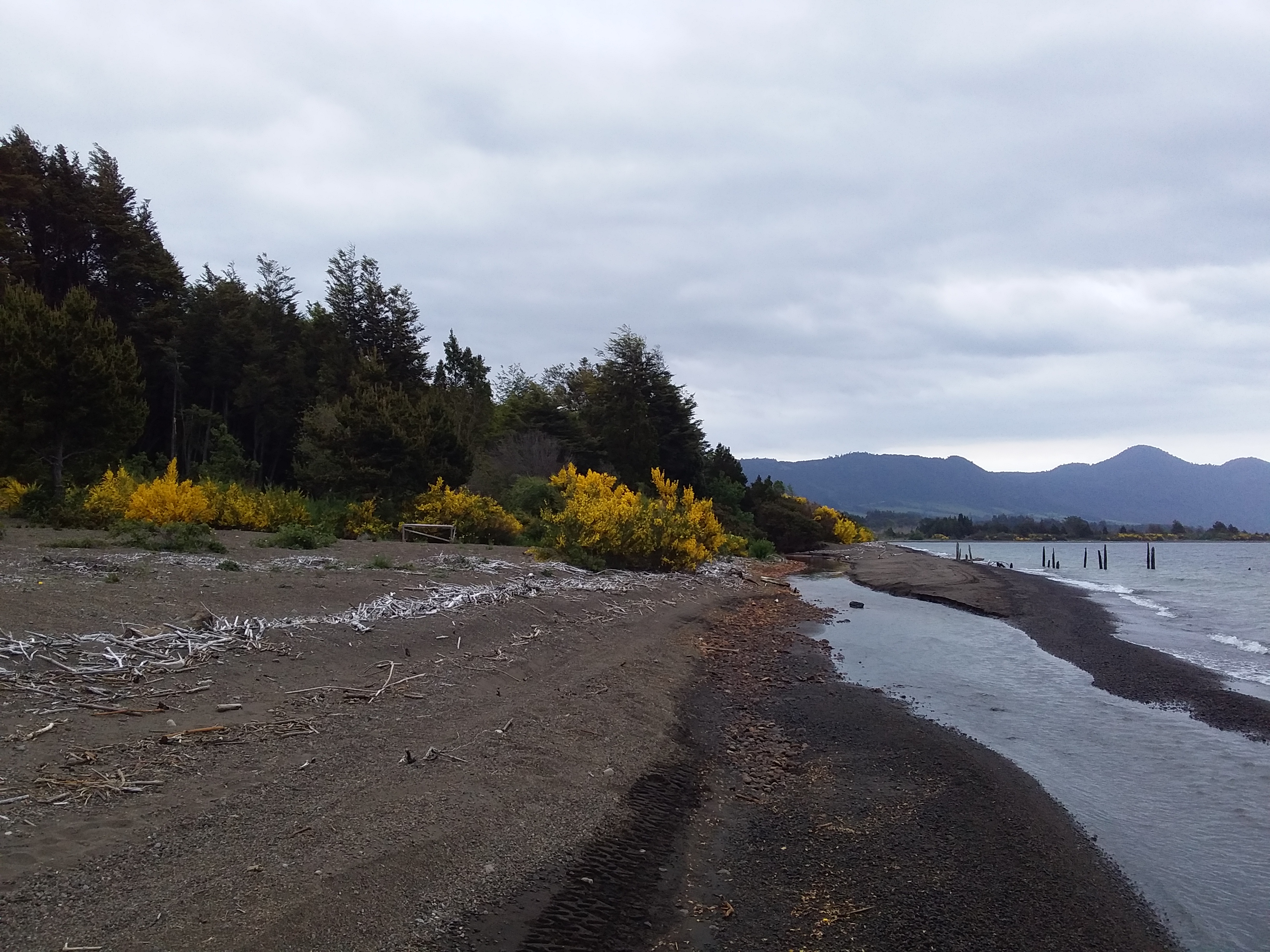 VENDO - Parcela de 5000 m2 a Orilla de Lago Llanquihue, en Ensenada