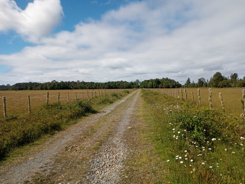 VENDO - CAMPO AGRICOLA 501 HA EN PUERTO MONTT