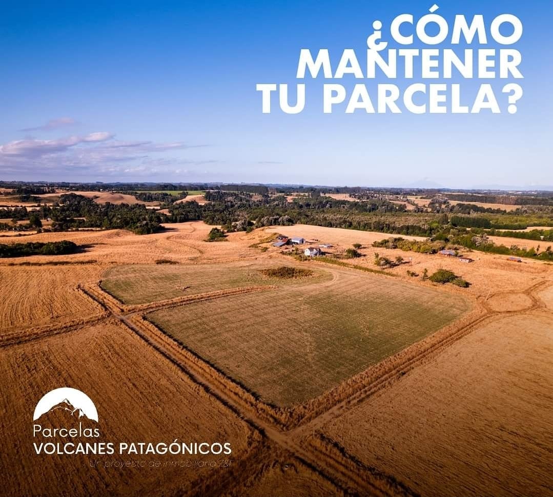 PARCELACIÓN ALTOS VOLCANES PATAGÓNICOS EN ESTAQUILLA, LOS MUERMOS