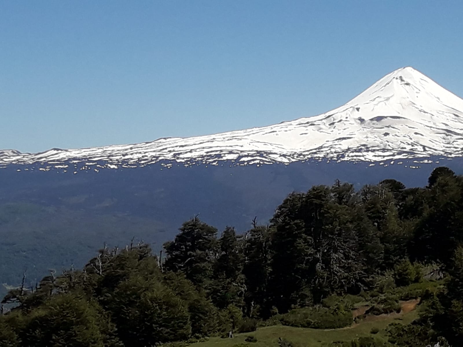 PARCELACIÓN SANTA NORMA MELIPEUCO