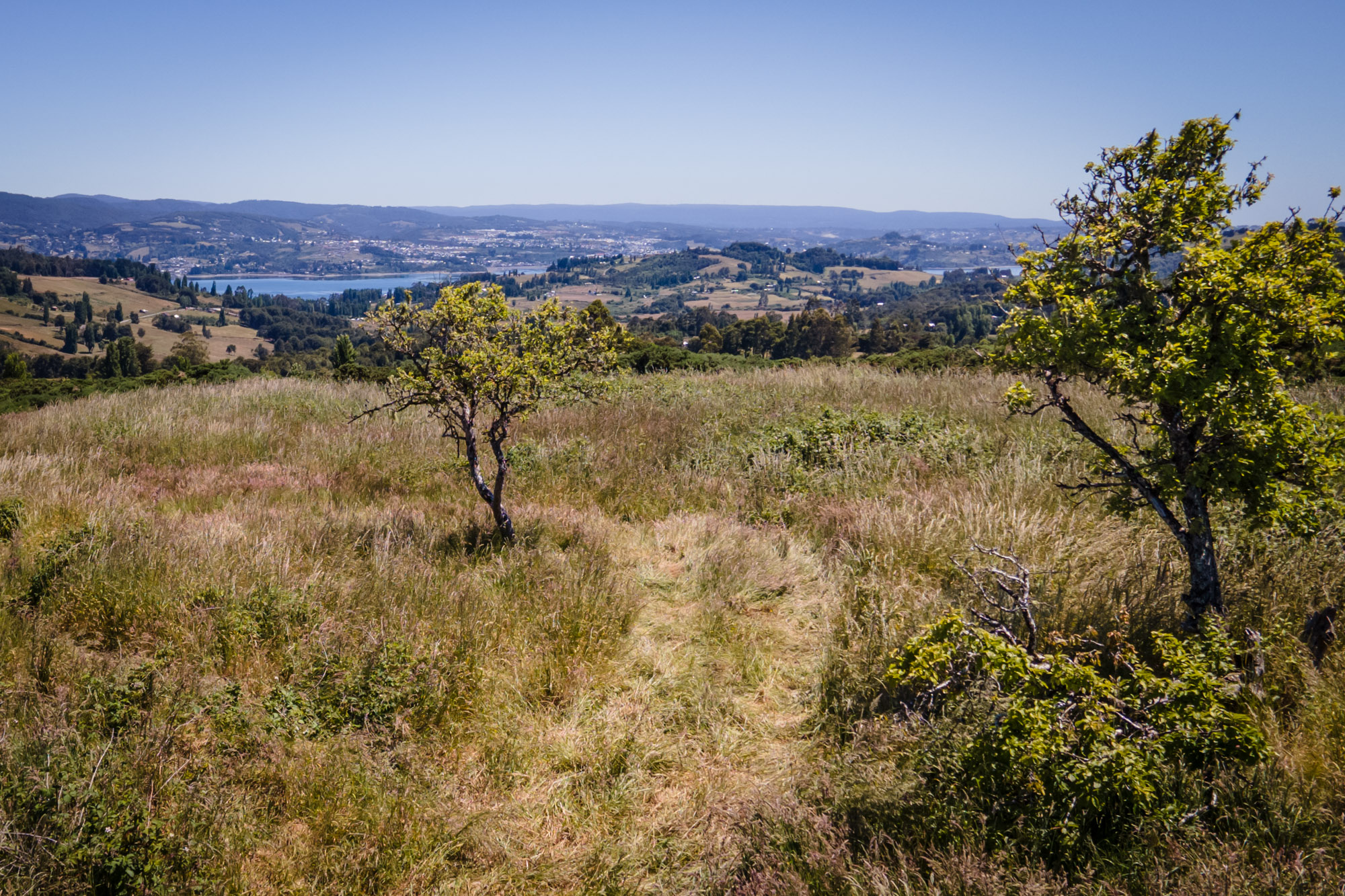 PARCELACIÓN EXCLUSIVA EN CHILOÉ
