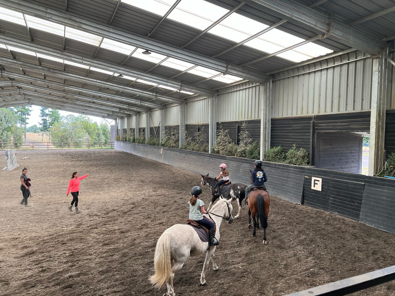 VENDO - Parcela en Condominio Las Tranqueras, Pto. Varas