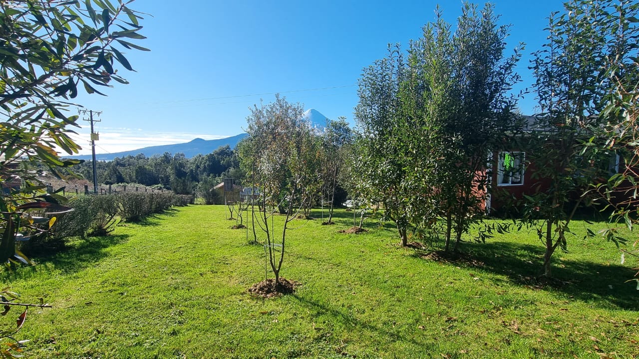 VENDO - Casa 79m2 en parcela de 5.300 m2 en Ensenada