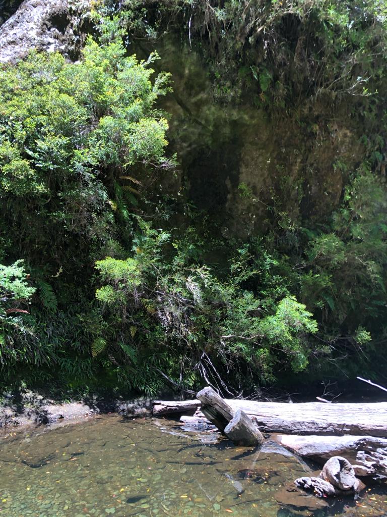 VENDO – Terreno en Colonia Rio Sur