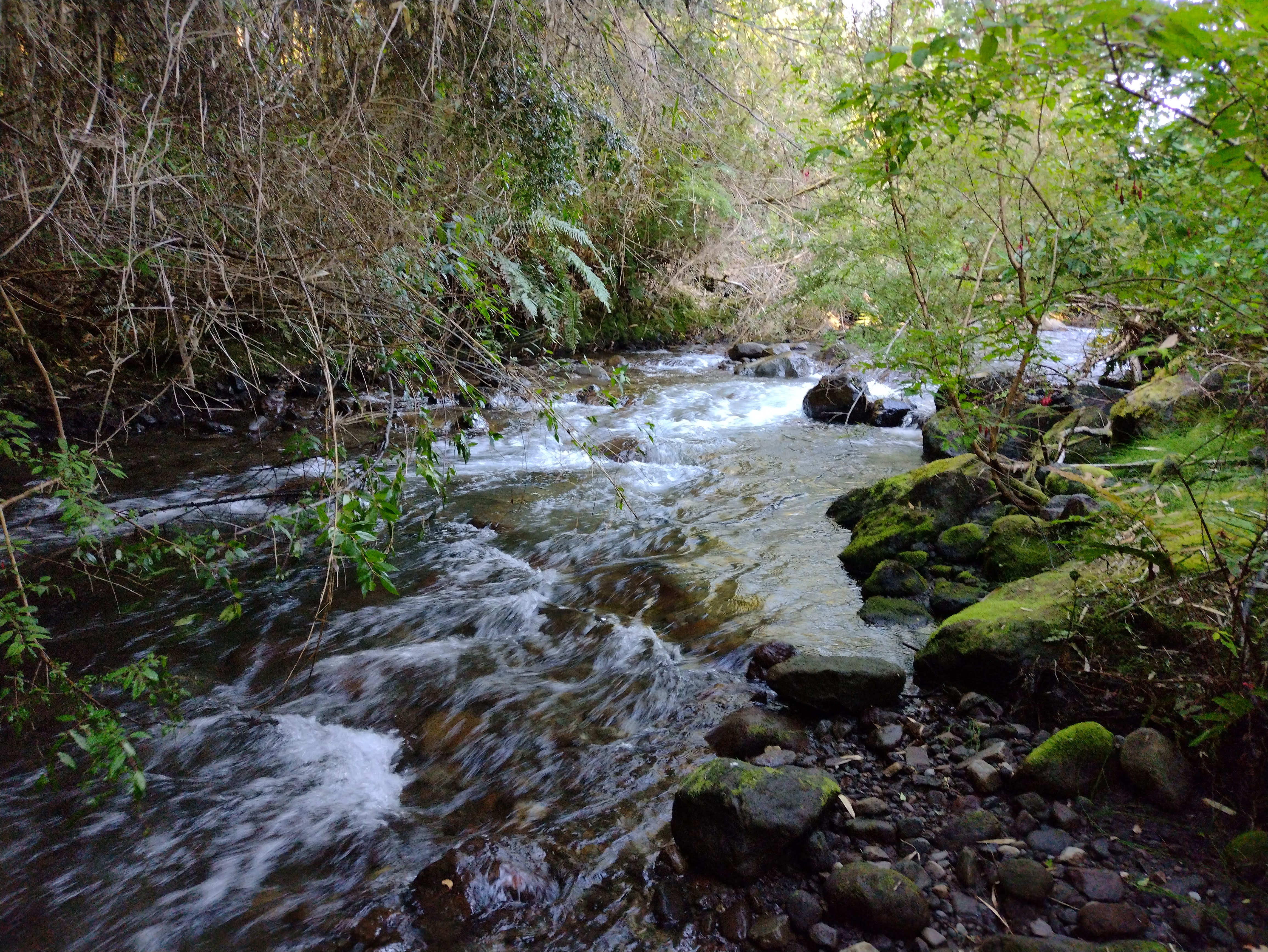 PARCELACIÓN EN RÍO TEPÚ, CAMINO A ENSENADA