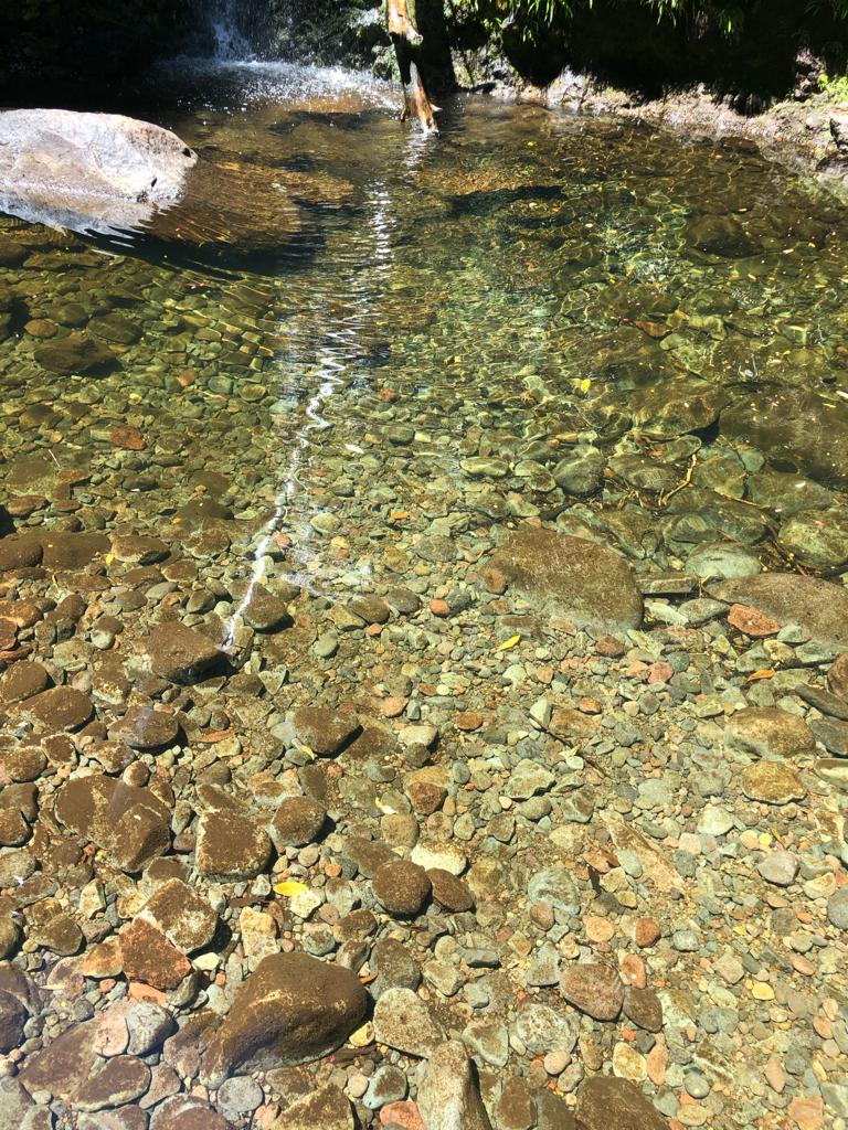 VENDO – Terreno en Colonia Rio Sur