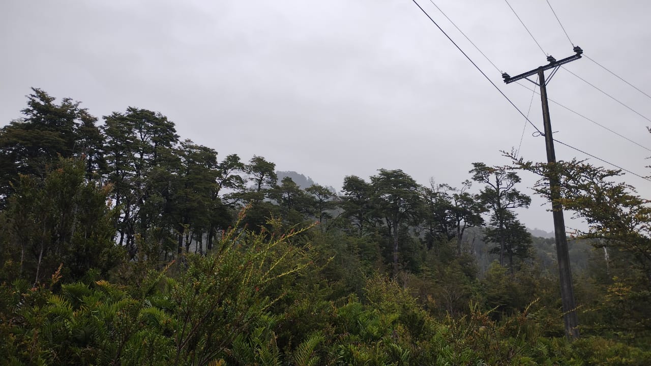 VENDO - Campo de 45.5 ha en Rio Puelo, Sector Yates