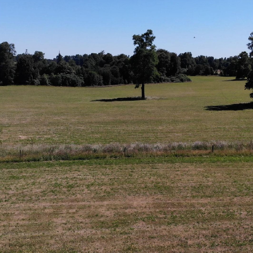 VENDO - Parcela de 7000 m2 en Frutillar