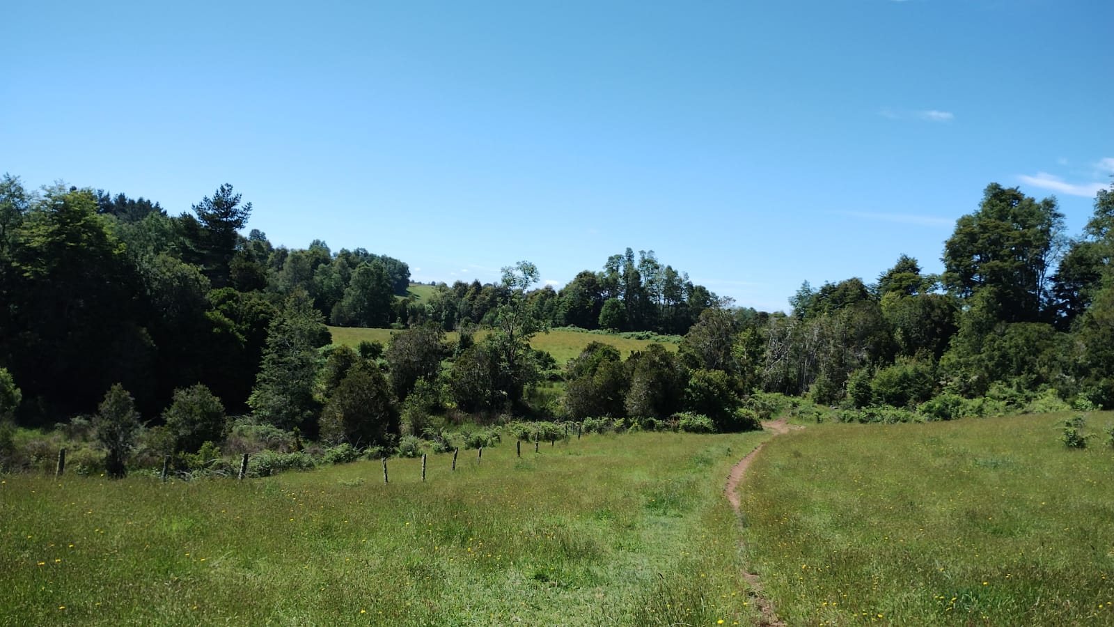 VENDO - Campo de 33 Há en Rio Frio, Los Muermos