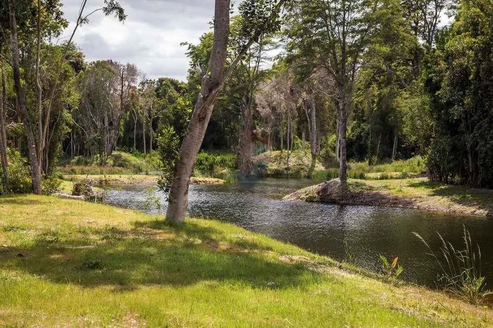 VENDO - PARCELA 5.000 M2 EN FRUTILLAR