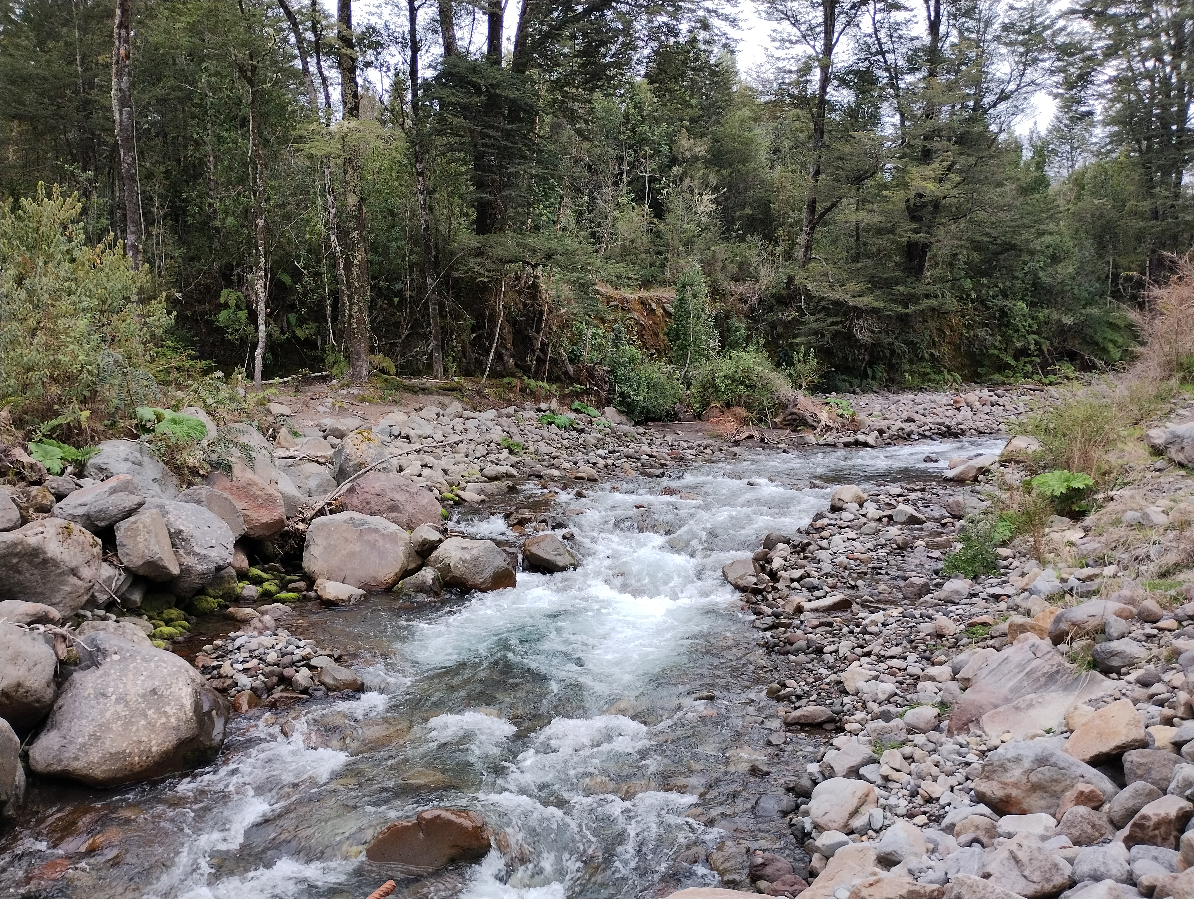 VENDO - Parcela de 4.252 m2 en Sector Cumbre Rio Pescado, Pto. Varas