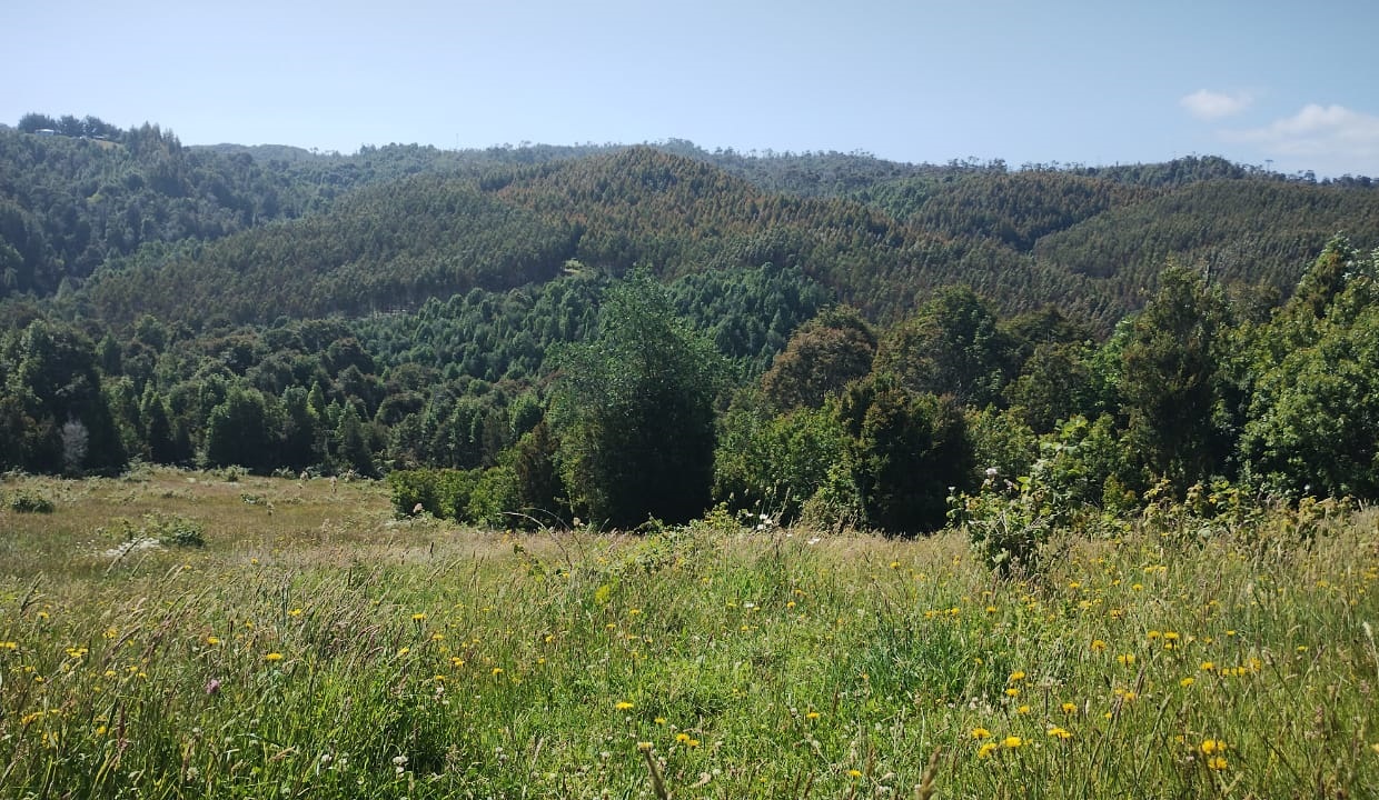 VENDO - Parcela de 5000 m2 en Estaquilla