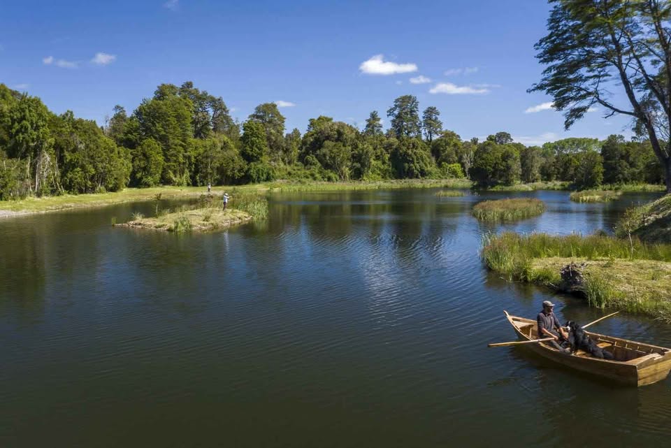 VENDO - PARCELA 5.000 M2 EN FRUTILLAR