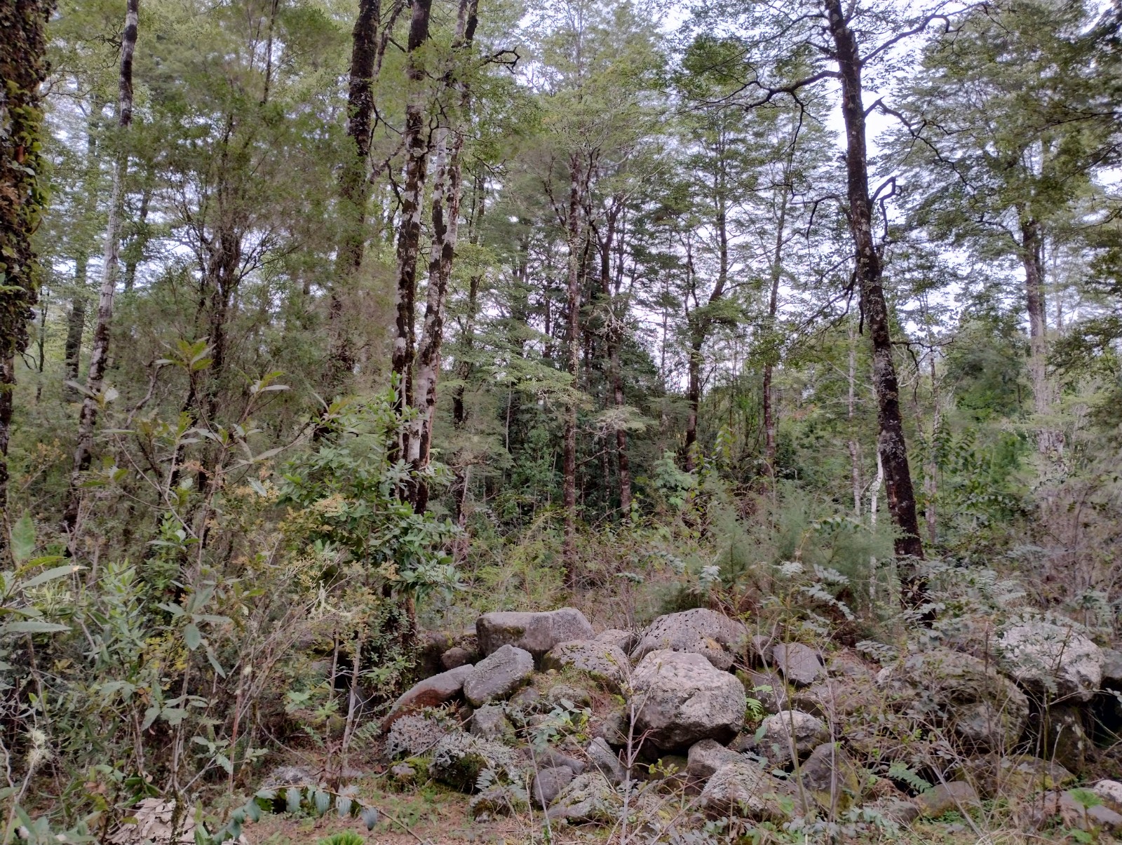 VENDO - Parcela de 4.252 m2 en Sector Cumbre Rio Pescado, Pto. Varas