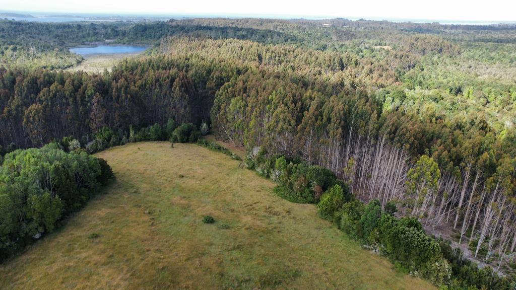 VENDO - CAMPO DE 420 HA EN COLACO