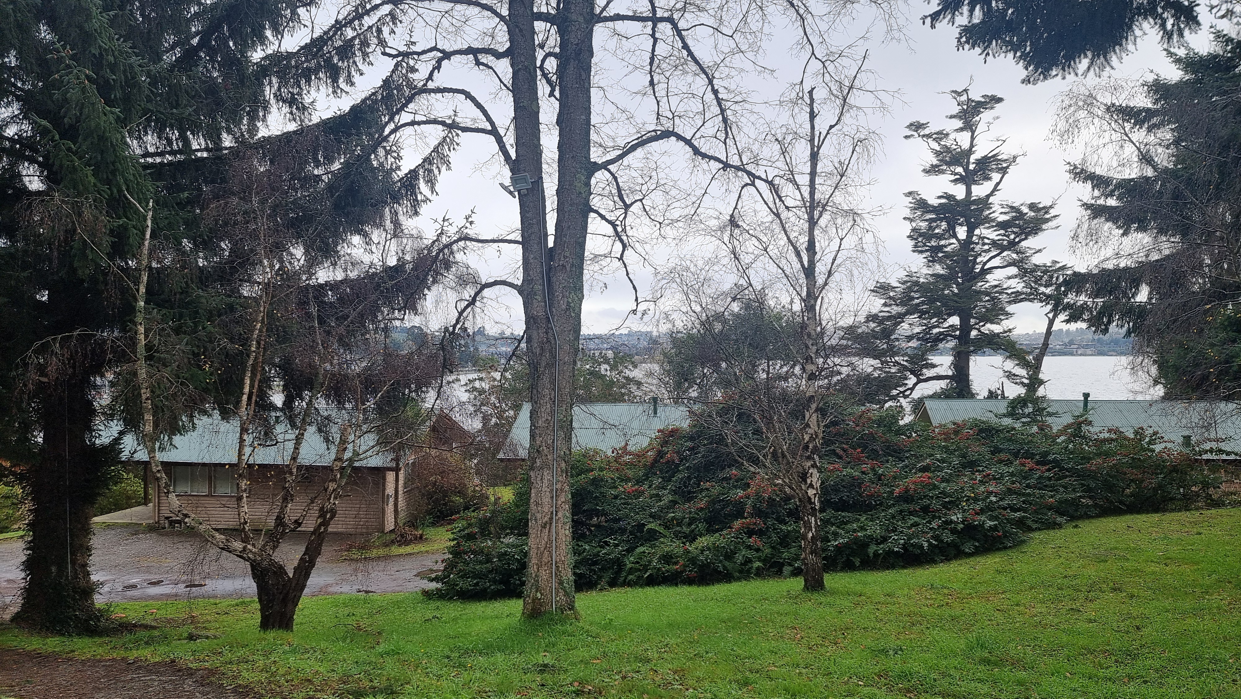 ARRIENDO - ESPACIO COMERCIAL EN PUERTO VARAS