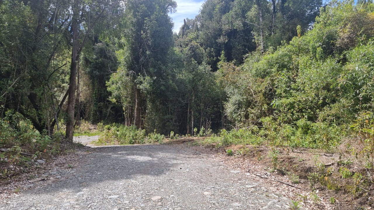 VENDO – Parcela 5000m2 en Ralún