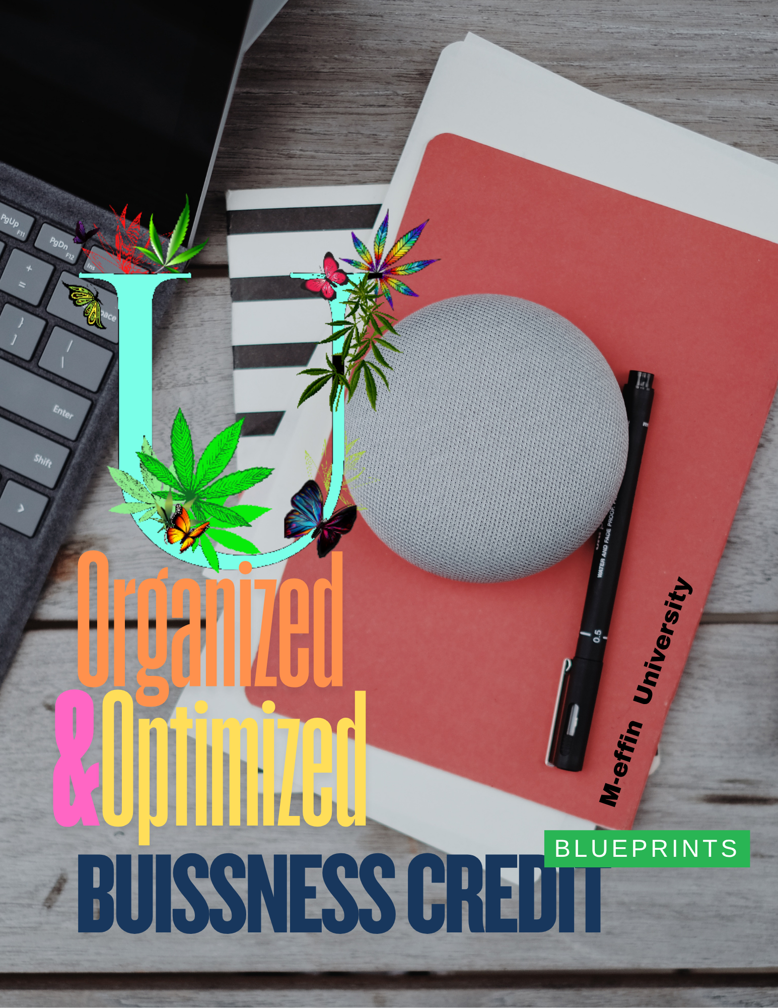 Organized & Optimized Business Credit Blueprints