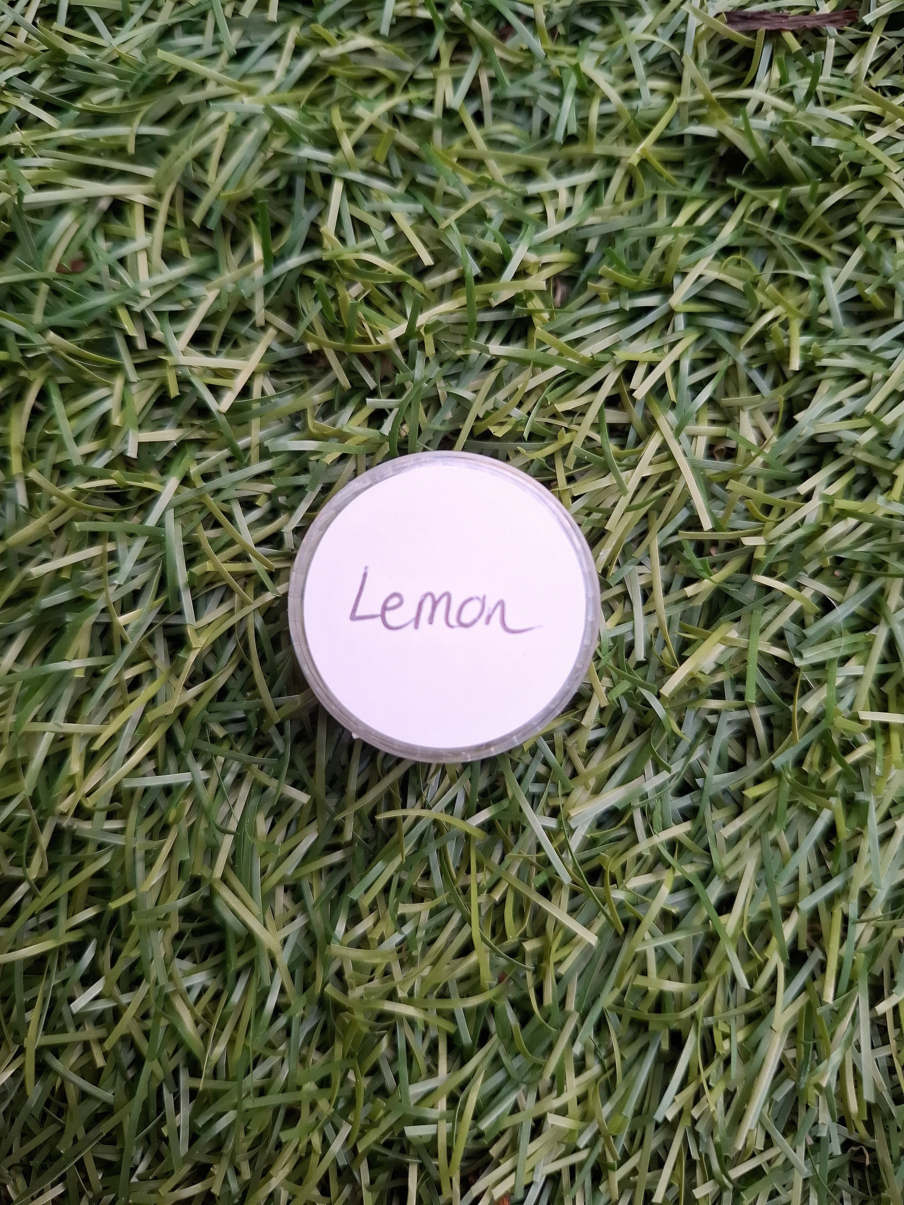 Scented Diamond Painting Putty - Lemon - Small