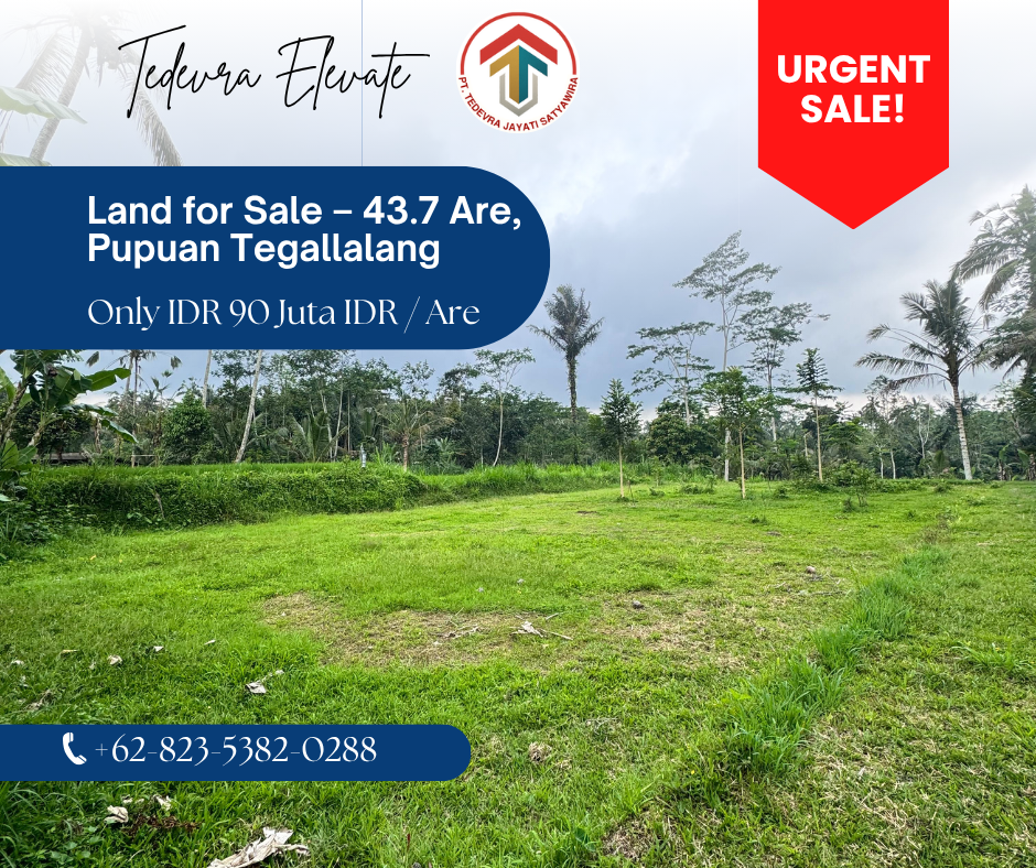 Land for Sale – 43.7 Are, Pupuan Tegallalang, Bali (Ubud Kintamani)