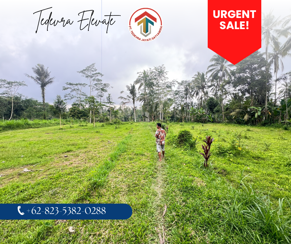 Land for Sale – 43.7 Are, Pupuan Tegallalang, Bali (Ubud Kintamani)