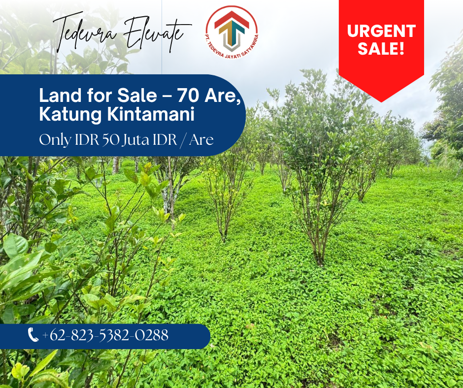 Land for Sale – 70 Are, Katung Kintamani, Bali