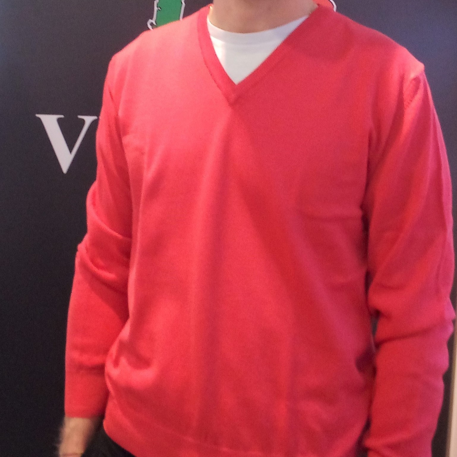 Maglia uomo scollo v in puro cotone - Menswear v-neck pullover in pure cotton