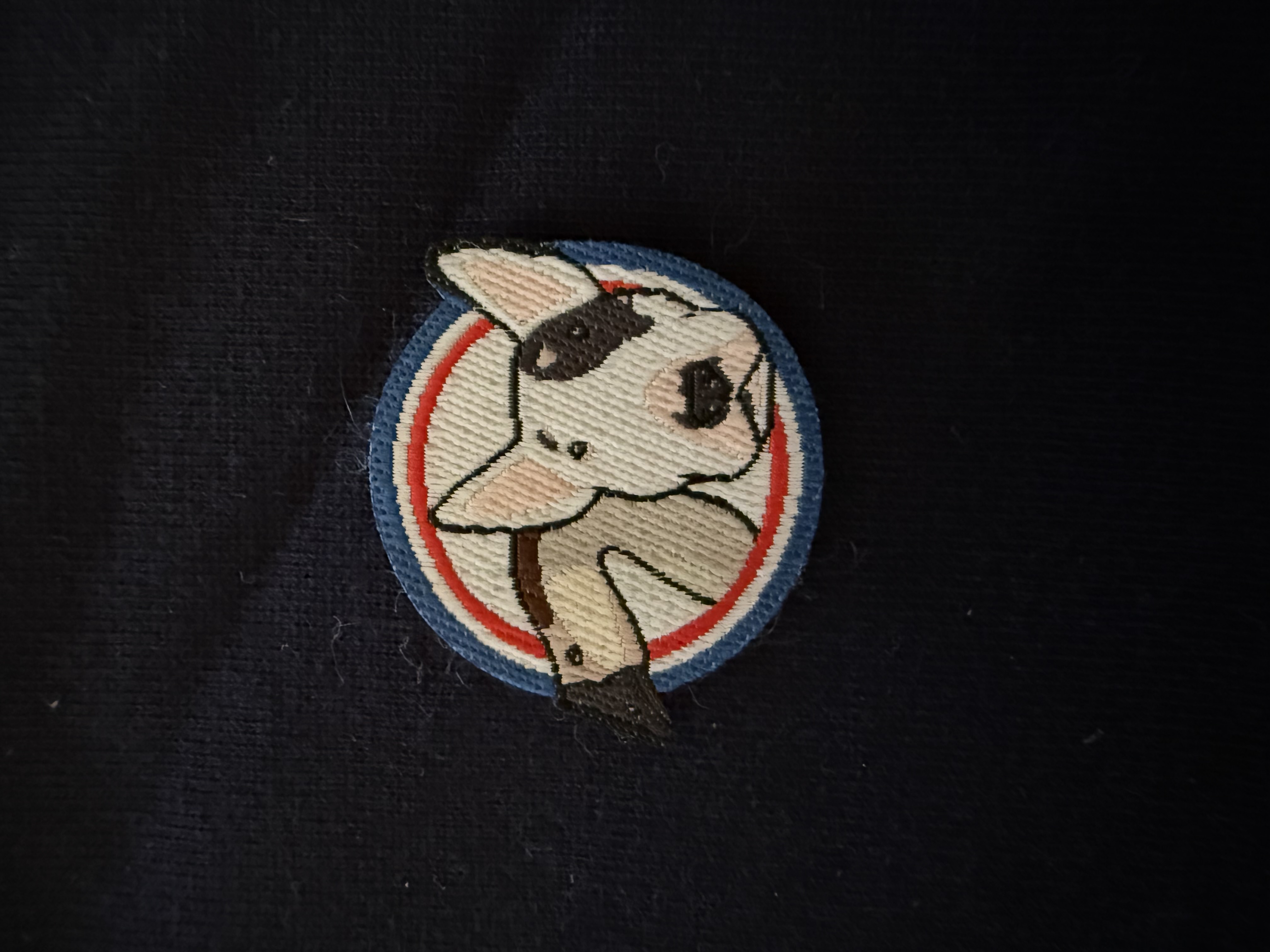 Sweat à capuche coton bio écusson