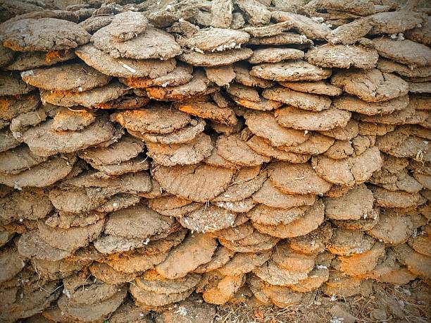 Cow Dung – Natural, Organic, and Multi-Purpose