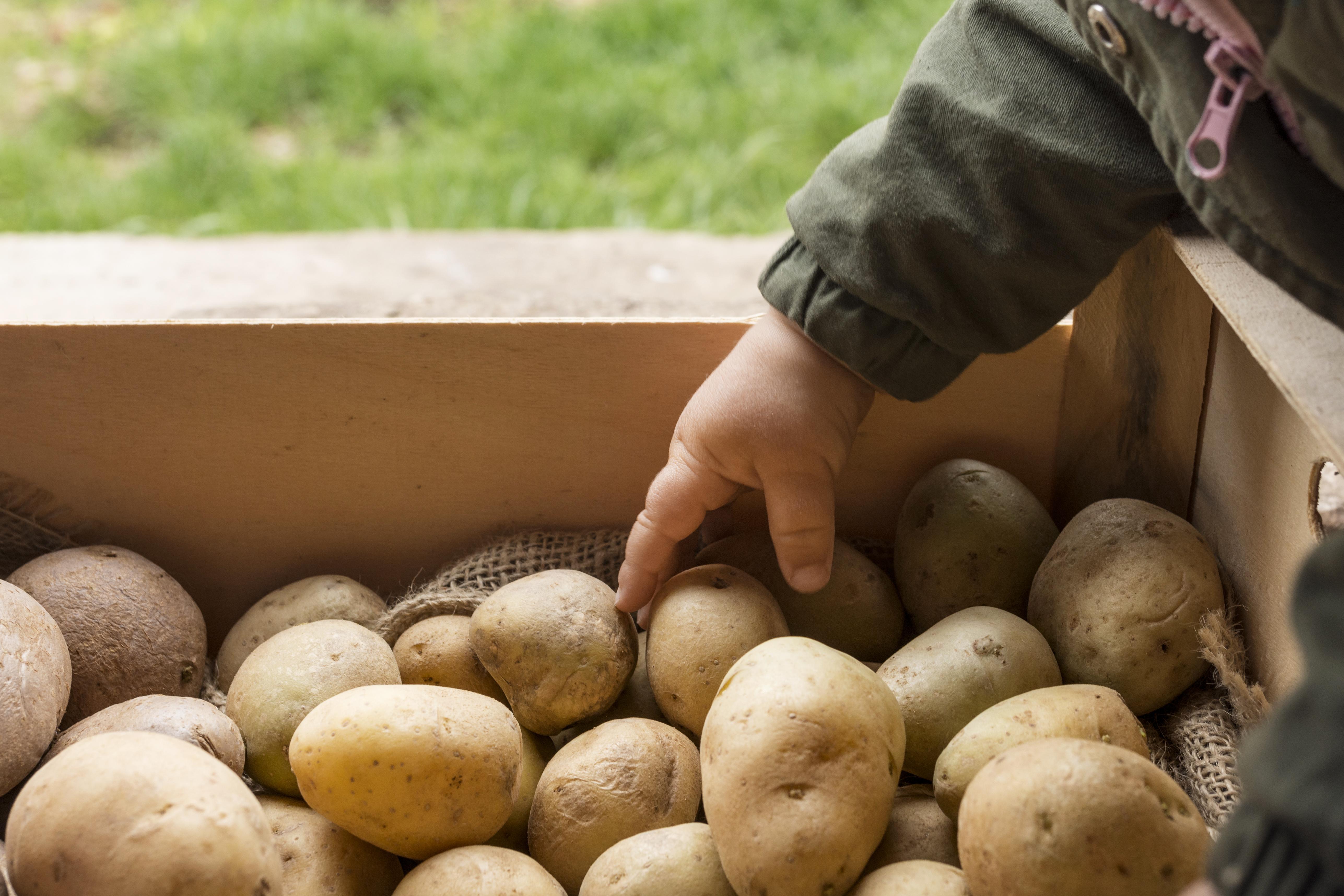 Potatoes 