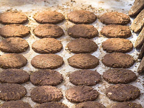 Cow Dung – Natural, Organic, and Multi-Purpose
