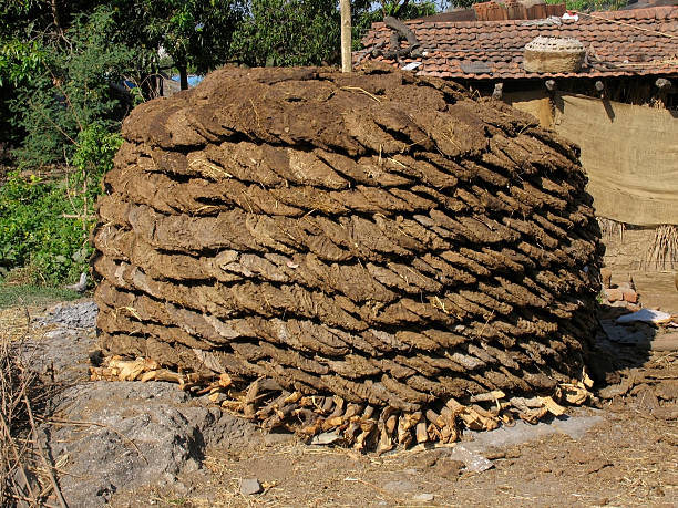 Cow Dung – Natural, Organic, and Multi-Purpose