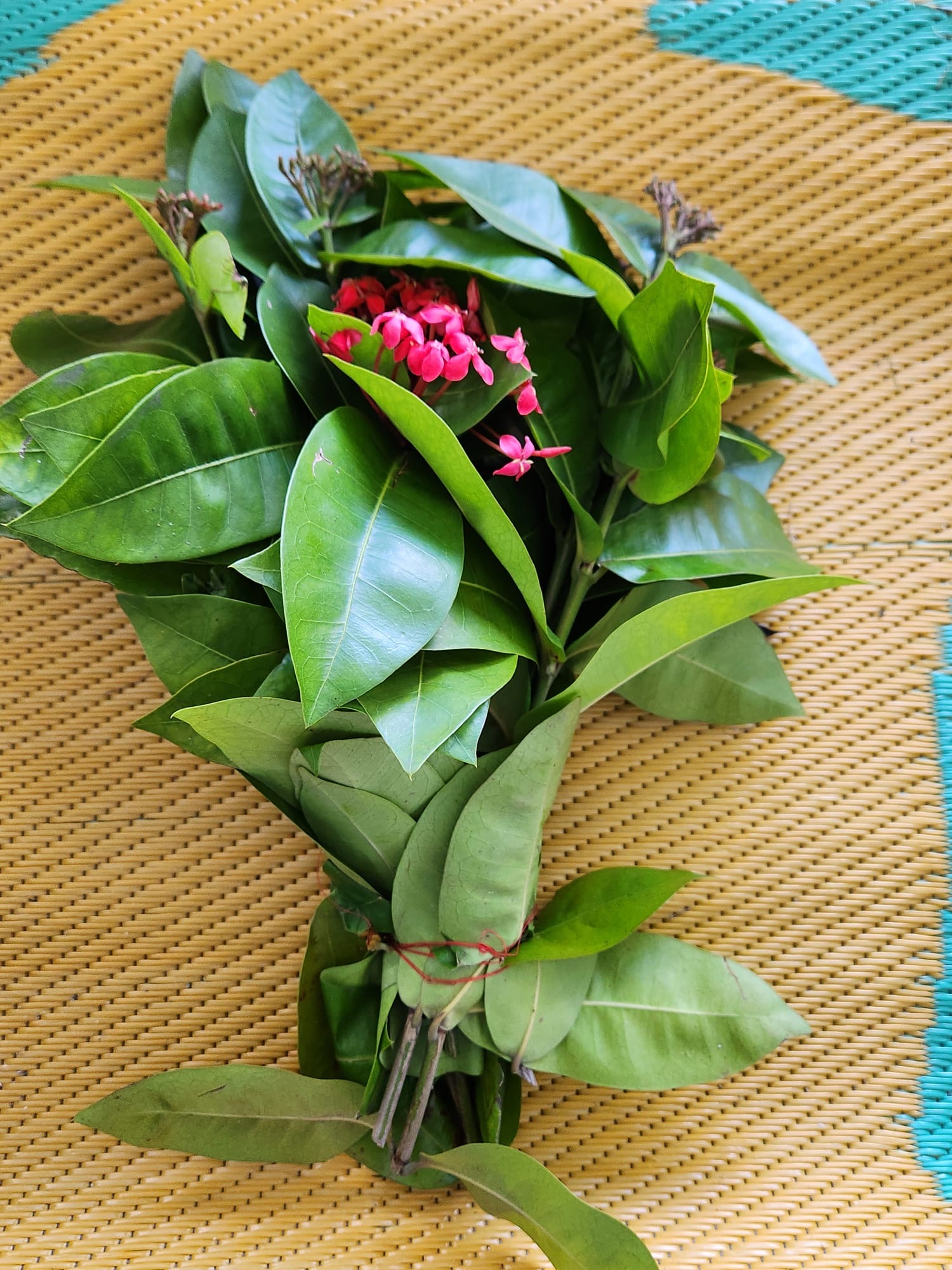 Ramo de hojas y flores tropicales