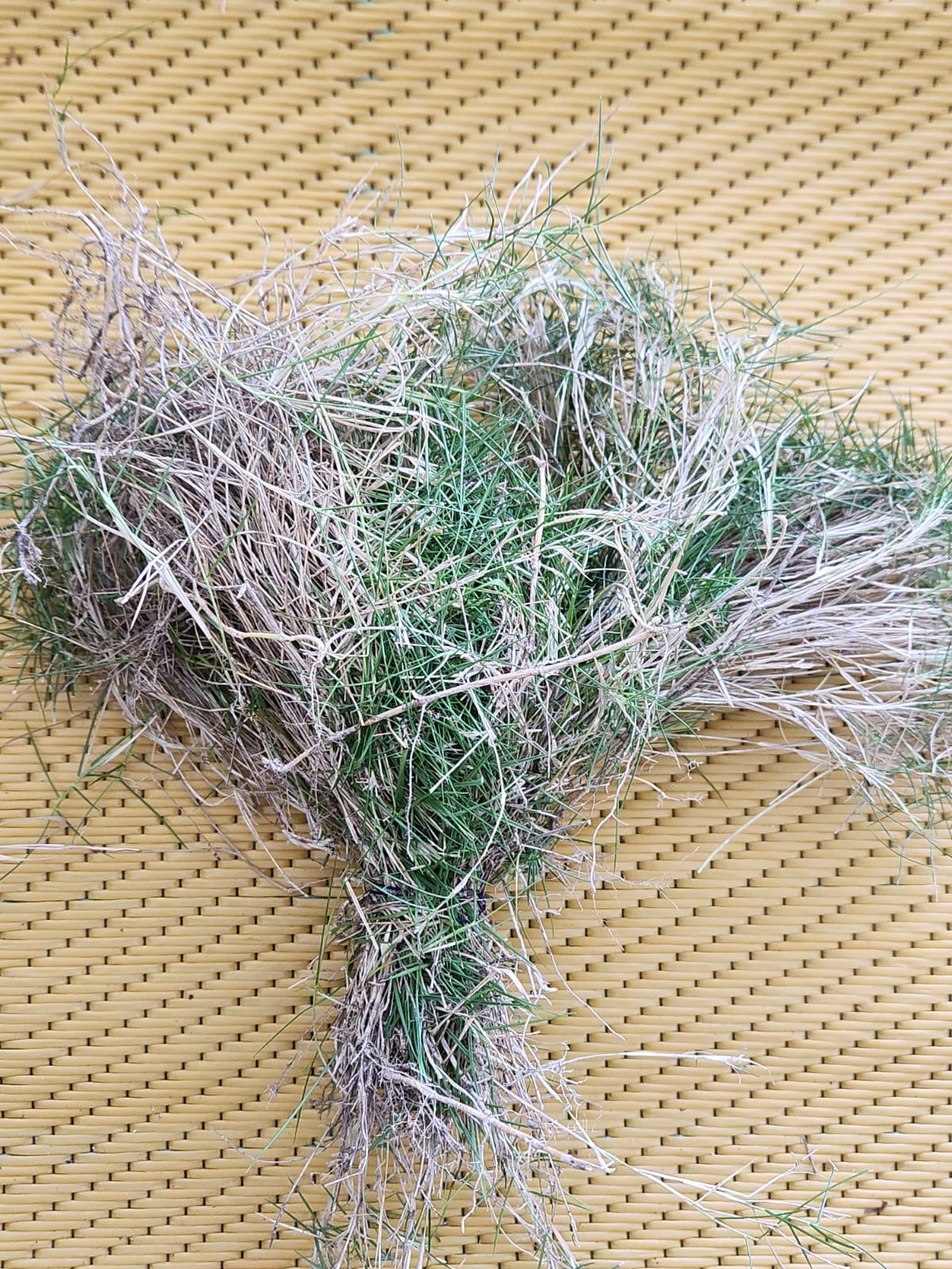🌿 Hierba Fina