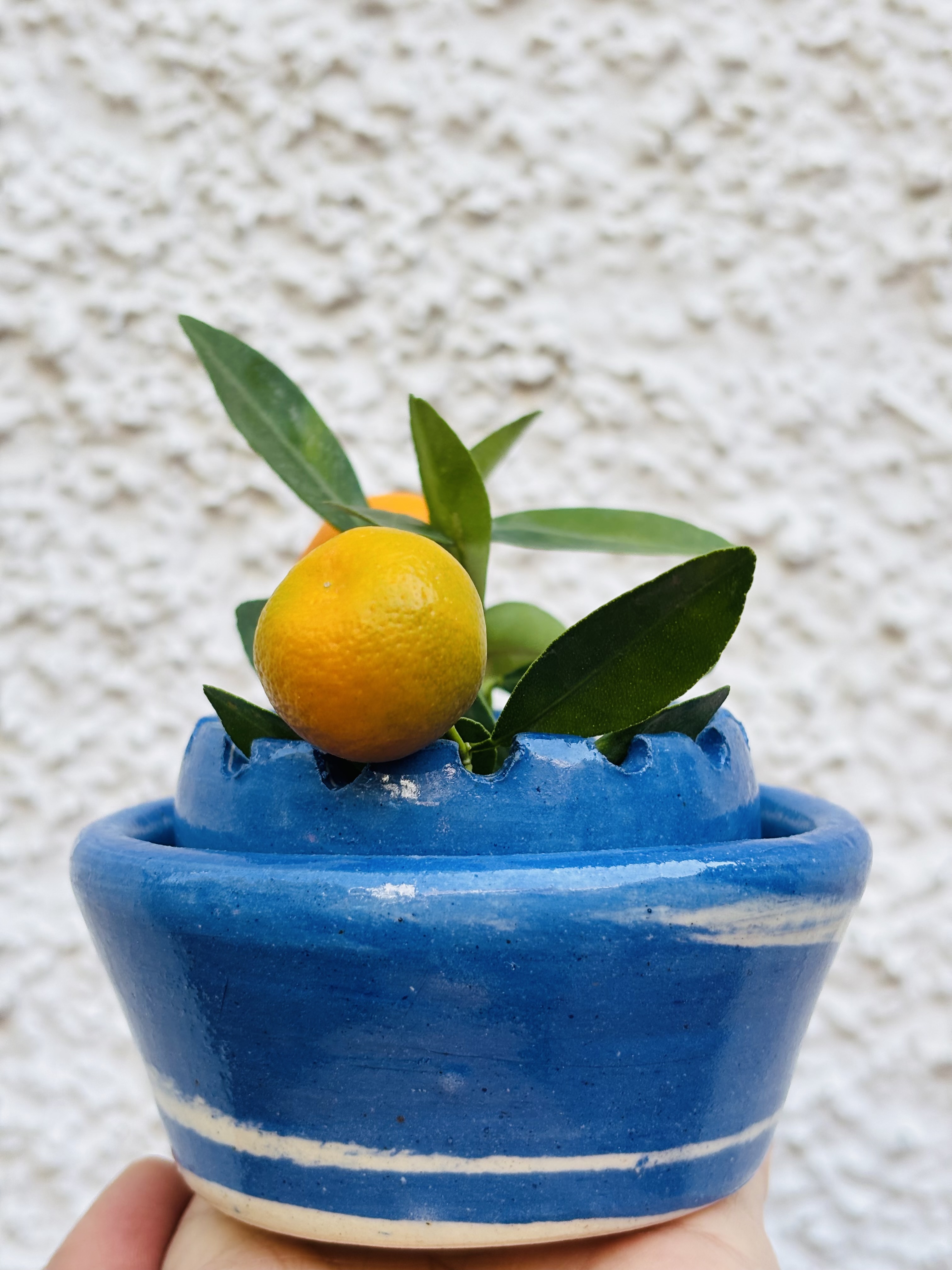 Tideform Vase