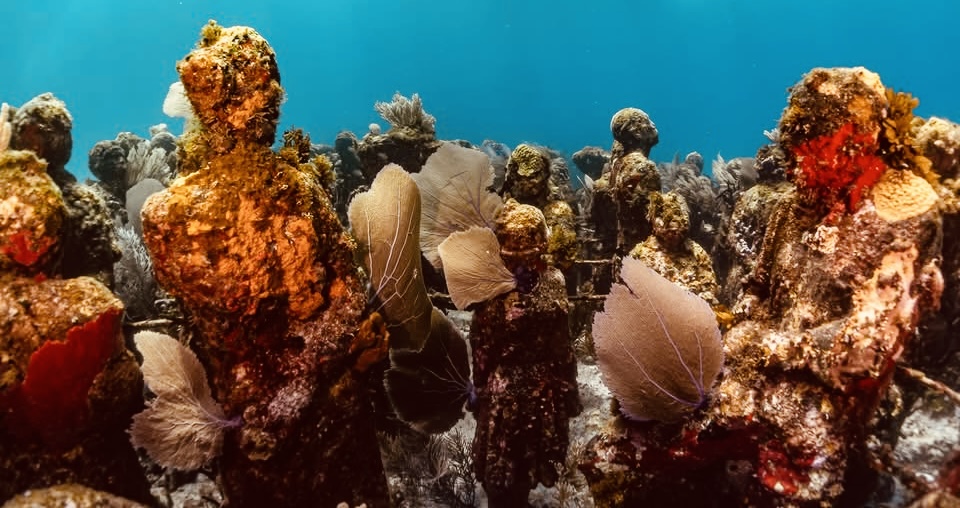  Buceo para Principiantes (Discover Scuba Diving)