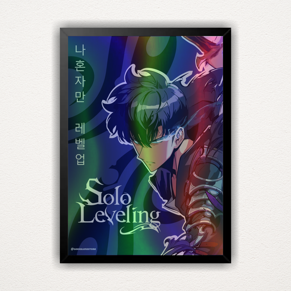Quadro Sung Jin-Woo - Solo Leveling